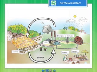ЕНЕРГИЈА БИОМАСЕ
Биомаса
Компост
Биомаса
Електрана на биомасу
 