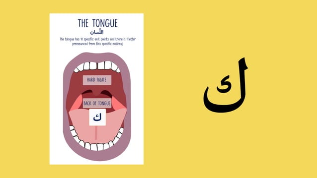 Arabic Alphabet Online Presentation Letter ض - ه | PPT