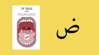 Arabic Alphabet Online Presentation Letter ض - ه | PDF