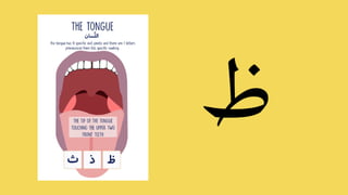 Arabic Alphabet Online Presentation Letter ض - ه | PPT