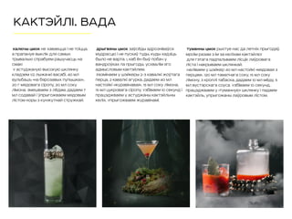 КАКТЭЙЛI. ВАДА
Калючы Цмок не хаваецца і не тоіцца,
а прапануе выклік для самых
трывалых! Спрабуем рашучасць на
смак!
У астуджаную высокую шклянку
кладзем 1/2 лыжачкі васабі, 40 мл
Бульбашъ «На бярозавых пупышках»,
20 г мядовага сіропу, 20 мл соку
лімона. Змешваем з лёдам, дадаем 7
мл содавай і ўпрыгожваем мядовым
лістом норы з кунжутнай стружкай.
Дрыгвяны Цмок заўсёды адрозніваўся
мудрасцю і не пускаў туды, куды хадзіць
было не варта. І, каб ён быў побач у
вандроўках па прыгоды, усхвалім яго
адмысловым кактэйлем.
Размінаем у шэйкеры 2-3 кавалкі жоўтага
перца, 2 кавалкі агурка, дадаем 40 мл
настойкі «Журавінавая», 15 мл соку лімона,
15 мл цукровага сіропу. Узбіваем 10 секунд і
працэджваем у астуджаны кактэйльны
келiх. Упрыгожваем журавінамі.
Туманны Цмок рыхтуе нас да летніх прыгодаў.
Мроім разам з ім за келіхам кактэйлю!
Для гэтага падпальваем лісцік лаўровага
ліста і накрываем шклянкай.
Наліваем у шэйкер 40 мл настойкі «Мядовая з
перцам», 120 мл таматнага соку, 15 мл соку
лімону, 3 кроплi табаска, дадаем 10 мл мёду, 5
мл вустэрскага соуса. Узбіваем 10 секунд,
працэджваем у «туманную» шклянку і падаем
кактэйль, упрыгожаны лаўровым лістом.
 