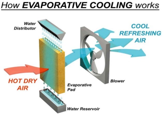 humidity control cooler