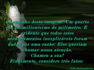 O tamanho desta imagem? Um quarto 
de um milionésimo de milímetro. É 
evidente que todos estes 
acontecimentos inexplicáveis foram 
dadas por uma razão: Eles queriam 
chamar nossa atenção.
Chamou a sua?
Finalmente, considere três fatos:  
Yebi_10@hotmail.com

 