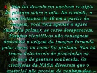 4. Não f oi descoberto nenhum vestígio
de pintura sobre a tela. Na verdade, a
uma distância de 10 cm a partir da
imagem, você verá apenas a agave
(matéria prima): as cores desaparecem.
Estudos científicos não conseguem
descobrir a origem da imagem formada
pelas cores, ou como foi pintado. Não há
traços detectáveis de pinceladas ou
técnica de pintura conhecida. Os
cientistas da NASA disseram que o
Yebi_10@hotmail.com
material não provém de nenhum dos

 