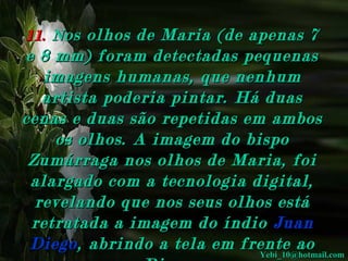 11.  N os olhos de Maria (de apenas 7 

e 8 mm) foram detectadas pequenas 
imagens humanas, que nenhum 
artista poderia pintar. Há duas 
cenas e duas são repetidas em ambos 
os olhos. A imagem do bispo 
Zumárraga nos olhos de Maria, foi 
alargado com a tecnologia digital, 
revelando que nos seus olhos está 
retratada a imagem do índio   Juan 
Diego ,  abrindo a tela em frente ao 
Yebi_10@hotmail.com

 
