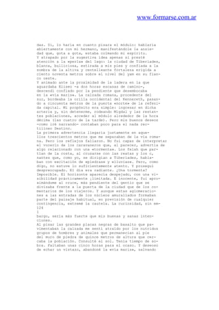 www.formarse.com.ar
das. Sí, lo haría en cuanto pisara el módulo: hablaría
abiertamente con mi hermano, manifestándole la ansie-
dad que, gota a gota, estaba colmando mi espíritu.
Y atrapado por la sugestiva idea apenas si presté
atención a la «perla» del lago: la ciudad de Tiberíades,
blanca, bulliciosa, estirada a mis pies y confiada a la
sombra de la altiva y centelleante fortaleza erigida a
ciento noventa metros sobre el nivel del yam en su flan-
co oeste.
Y animado ante la proximidad de la ladera en la que
aguardaba Eliseo -a dos horas escasas de camino-,
descendí confiado por la pendiente que desembocaba
en la «vía maris». La calzada romana, procedente del
sur, bordeaba la orilla occidental del Kennereth, pasan-
do a cincuenta metros de la puerta «norte» de la refeni-
da capital. Mi propósito era simple: ingresar en dicha
arteria y, sin detenerme, rodeando Migdal y las restan-
tes poblaciones, acceder al módulo alrededor de la hora
décima (las cuatro de la tarde). Pero mis buenos deseos
-como iré narrando- contaban poco para el nada rec-
tilíneo Destino.
La primera advertencia llegaría justamente en aque-
llos trescientos metros que me separaban de la vía roma-
na. Pero los reflejos fallaron. No fui capaz de interpretar
el vocerío de los caravaneros que, al parecer, advertía de
algo relacionado con una «tormenta». Los felah que par-
tían de la costa, al cruzarse con las reatas y los c,
nantes que, como yo, se dirigían a Tiberíades, habla-
ban con excitación de «piedras» y «lluvias». Pero, como
digo, no estuve lo suficientemente atento. Y proseguí
despreocupado. El día era radiante. ¿Una tormenta?
Imposible. El horizonte aparecía despejado, con una vi-
sibilidad prácticamente ¡limitada. E inocente, fui apro-
ximándome al cruce, más pendiente del gentío que se
divisaba frente a la puerta de la ciudad que de los co-
mentarios de los viajeros. Y aunque estas aglomeracio-
nes a las entradas de los núcleos amurallados formaban
parte del paisaje habitual, en previsión de cualquier
contingencia, extremé la cautela. La curiosidad, sin em-
124
1
bargo, sería más fuerte que mis buenas y sanas inten-
ciones.
Al pisar las grandes placas negras de basalto que pa-
vimentaban la calzada me sentí atraído por los nutridos
grupos de hombres y animales que permanecían al pie
del muro de piedra de quince metros de altura que cer-
caba la población. Consulté el sol. Tenía tiempo de so-
bra. Faltaban unas cinco horas para el ocaso. Y deseoso
de echar un vistazo, abandoné la «vía maris», salvando
 