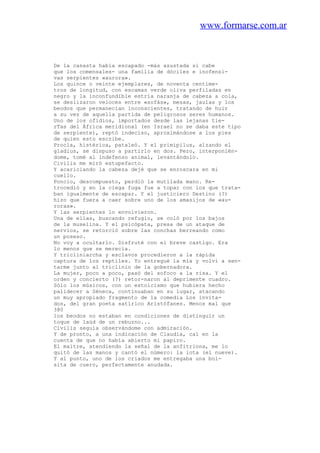 www.formarse.com.ar
De la canasta había escapado -más asustada si cabe
que los comensales- una familia de dóciles e inofensi-
vas serpientes «aurora».
Los quince o veinte ejemplares, de noventa centíme-
tros de longitud, con escamas verde oliva perfiladas en
negro y la inconfundible estría naranja de cabeza a cola,
se deslizaron veloces entre «sofás», mesas, jaulas y los
beodos que permanecían inconscientes, tratando de huir
a su vez de aquella partida de peligrosos seres humanos.
Uno de los ofidios, importados desde las lejanas tie-
rTas del África meridional (en Israel no se daba este tipo
de serpiente), reptó indeciso, aproximándose a los pies
de quien esto escribe.
Procla, histérica, pataleó. Y el primipilus, alzando el
gladius, se dispuso a partirlo en dos. Pero, interponién-
dome, tomé al indefenso animal, levantándolo.
Civilis me miró estupefacto.
Y acariciando la cabeza dejé que se enroscara en mi
cuello.
Poncio, descompuesto, perdió la mutilada mano. Re-
trocedió y en la ciega fuga fue a topar con los que trata-
ban igualmente de escapar. Y el justiciero Destino (?)
hizo que fuera a caer sobre uno de los amasijos de «au-
roras».
Y las serpientes lo envolvieron.
Una de ellas, buscando refugio, se coló por los bajos
de la muselina. Y el psicópata, presa de un ataque de
nervios, se retorció sobre las conchas berreando como
un poseso.
No voy a ocultarlo. Disfruté con el breve castigo. Era
lo menos que se merecía.
Y tricliniarcha y esclavos procedieron a la rápida
captura de los reptiles. Yo entregué la mía y volví a sen-
tarme junto al triclinio de la gobernadora.
La mujer, poco a poco, pasó del sofoco a la risa. Y el
orden y concierto (?) retor-naron al deprimente cuadro.
Sólo los músicos, con un estoicismo que hubiera hecho
palidecer a Séneca, continuaban en su lugar, atacando
un muy apropiado fragmento de la comedia Los invita-
dos, del gran poeta satírico Aristófanes. Menos mal que
380
los beodos no estaban en condiciones de distinguir un
toque de laúd de un rebuzno...
Civilis seguía observándome con admiración.
Y de pronto, a una indicación de Claudia, caí en la
cuenta de que no había abierto mi papiro.
El maitre, atendiendo la señal de la anfitriona, me lo
quitó de las manos y cantó el número: la iota (el nueve).
Y al punto, uno de los criados me entregaba una bol-
sita de cuero, perfectamente anudada.
 
