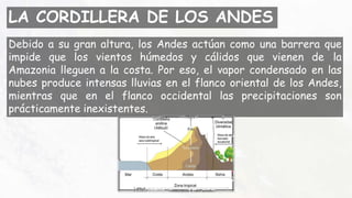 LA CORDILLERA DE LOS ANDES
Debido a su gran altura, los Andes actúan como una barrera que
impide que los vientos húmedos y cálidos que vienen de la
Amazonia lleguen a la costa. Por eso, el vapor condensado en las
nubes produce intensas lluvias en el flanco oriental de los Andes,
mientras que en el flanco occidental las precipitaciones son
prácticamente inexistentes.
 