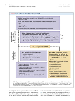 or transplant). In some patients, it may be reasonable to
wait longer for such decisions if there is an expectation
that LV remodeling might further progress. For example,
in the PROVE-HF study, increases in LVEF and reduction
in LV volumes continued over 12 months in some patients
(11). Repeat imaging may also be considered at the time of
important changes in clinical status (3). Routine surveil-
lance echocardiograms (e.g., annually) in the absence of
FIGURE 4 Testing and Medication Titration Following Diagnosis of HFrEF
Maddox et al. J A C C V O L . 7 7 , N O . 6 , 2 0 2 1
2021 Update to 2017 ECDP for Optimization of Heart Failure Treatment F E B R U A R Y 1 6 , 2 0 2 1 : 7 7 2 – 8 1 0
790
 