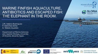 MARINE FINFISH AQUACULTURE,
ANTIBIOTICS AND ESCAPED FISH:
THE ELEPHANT IN THE ROOM.
J.M. Valero-Rodriguez
P. Sanchez-Jerez
K. Toledo-Guedes
Department of Marine Sciences
and Applied Biology, University
of Alicante.Alicante,Spain.
 