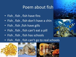Poem about fishFish , fish , fish have finsFish , fish , fish don’t have a chinFish , fish ,fish have gillsFish , fish , fish can’t eat a pillFish , fish , fish has schoolsFish , fish , fish can’t go to real schools