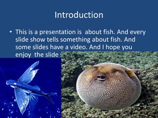 IntroductionThis is a presentation is  about fish. And every slide show tells something about fish. And some slides have a video. And I hope you enjoy  the slide shows.