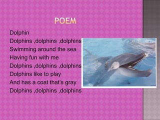 poem,[object Object],Dolphin,[object Object],Dolphins ,dolphins ,dolphins ,[object Object],Swimming around the sea,[object Object],Having fun with me,[object Object],Dolphins ,dolphins ,dolphins,[object Object],Dolphins like to play,[object Object],And has a coat that’s gray,[object Object],Dolphins ,dolphins ,dolphins,[object Object]