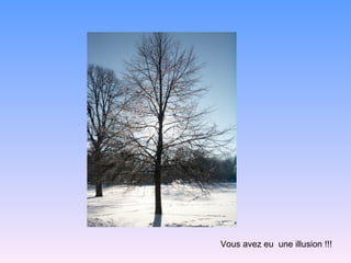 Vous avez eu  une illusion !!! 