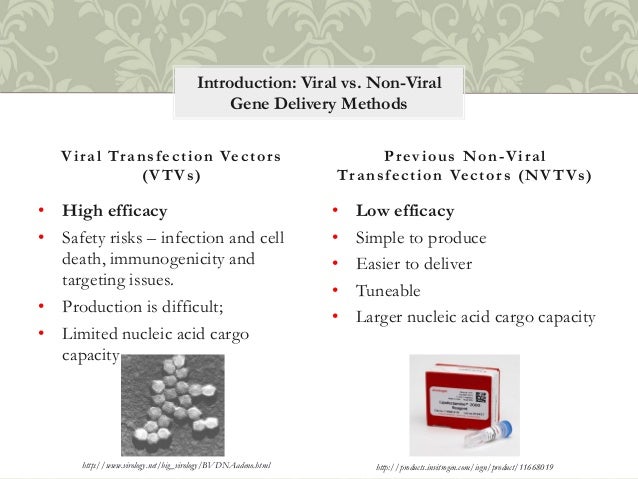 Viral Vs Non Viral Gene Delivery – VWNZMD