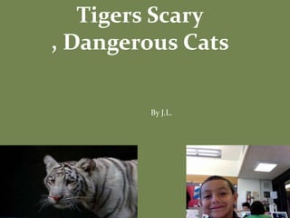 Tigers Scary , Dangerous Cats  By J.L. 