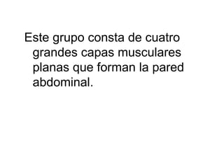 Este grupo consta de cuatro grandes capas musculares planas que forman la pared abdominal. 