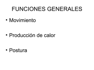 FUNCIONES GENERALES Movimiento Producción de calor Postura 