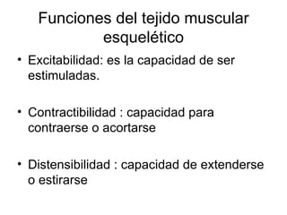 Funciones del tejido muscular esquelético Excitabilidad: es la capacidad de ser estimuladas. Contractibilidad : capacidad para contraerse o acortarse Distensibilidad : capacidad de extenderse o estirarse 
