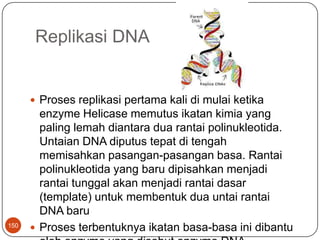 141Ketikabasa-basa nitrogen tersebutterikatdalamnukleotida, makapenamaan-pun berubah. Ingatkembalipenjelasandiawaltentangnukelotida. Nukleotidaterdiridarigugustriphosphatedansatubasa nitrogen yang terikatpadasatumolekul ribose. Nah.. basa-basa nitrogen iniapabilaterikatpada ribose membentuknukleotidamakapenamaannya-pun berubah.Adeninmenjadi 2′deoxyadenosinetriphosphate, cytosinmenjadi 2′deoxycytidinetriphosphate, guainnemenjadi 2′deoxyguanosinetriphosphate, dan Thymine menjadi 2′deoxythymidinetriphosphate. Disingkatmenjadi A, C, G, dan T.