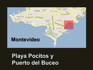 Montevideo Playa Pocitos y Puerto del Buceo 
