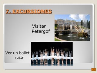 7. EXCURSIONES Ver un ballet ruso Visitar Petergof 