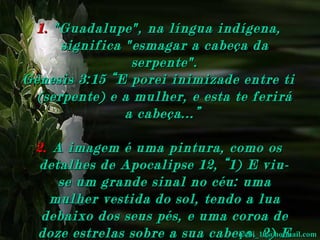 1.   "Guadalupe", na língua indígena, significa "esmagar a cabeça da serpente". Gênesis 3:15 “E porei inimizade entre ti (serpente) e a mulher, e esta te ferirá a cabeça...”   2.   A imagem é uma pintura, como os detalhes de Apocalipse 12, “1) E viu-se um grande sinal no céu: uma mulher vestida do sol, tendo a lua debaixo dos seus pés, e uma coroa de doze estrelas sobre a sua cabeça. 2) E estava grávida..." [email_address] 