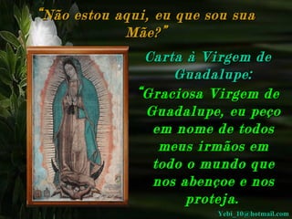 “ Não estou aqui, eu que sou sua Mãe?” Carta à Virgem de Guadalupe: “ Graciosa Virgem de Guadalupe, eu peço em nome de todos meus irmãos em todo o mundo que nos abençoe e nos proteja.   [email_address] 