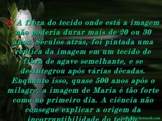 6.   A fibra do tecido onde está a imagem não poderia durar mais de 20 ou 30 anos. Séculos atrás, foi pintada uma réplica da imagem em um tecido de fibra de agave semelhante, e se desintegrou após várias décadas. Enquanto isso, quase 500 anos após o milagre, a imagem de Maria é tão forte como no primeiro dia. A ciência não consegue explicar a origem da incorruptibilidade do tecido. [email_address] 