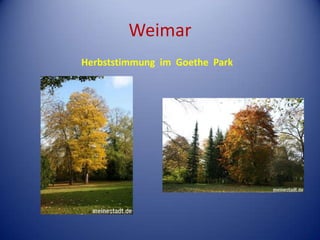 Weimar<br />Herbststimmungim  Goethe  Park<br />
