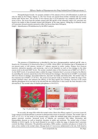 Efficacy Studies of Hepatoprotective Drug Isolated from Eclipta prostrata. L.
www.iosrjournals.org 46 | Page
Histopathological results: An accurate estimator of the amount of liver cell inflammation or death can
only be made by liver biopsy (Figure 2). The liver tissues are excised from normal, standard and E.prostrata
treated male Wistar rates. The severity of liver disease due to CCl4 induction was compared with the normal
tissue of liver. The tissue from the animals treated with 200 mg/KG of the ethanolic extract of E. prostrate was
found to be similar to that of animals treated with Silimarin. In the same manner, 100mg/Kg of ethanolic extract
of E. prostrate showed a positive protective effect, but lesser than that of Silimarin.
Graph 1: Identification of Wedelolactone by the HPLC analysis
The presence of Wedelolactone is identified by thin layer chromatographyic method and RF value is
found to be 5.6 instead of 5.8 observed by Das et a l (1990). About HPLC, the retention time of Wedelactone of
our present study is 6.48 minutes, instead of 7 minutes reported in earlier studies. Primary liver diseas es
(necrosis, obstructive jaundice, and carcinoma, viral or toxic hepatitis) as well as liver damage to the other
causes result in elevated SGOT levels. The normal, standard values of liver function test of SGOT id 5-40 IU/L.
As the SGOT levels of our present study is within the range. It denotes that E. prostrata is found to be effective
in controlling the necrosis caused due to the CCL4 induced liver damages. Elevated level of SGPT is associated
with liver disease or damage, myocardial infarction, muscular dystrophy and cholecystitis. The normal value of
liver function test of SGPT is 5-35 IU/L. The result of our present study is found to be within the range of the
normal standard values, that indicates the efficacy of the drug against liver damages. Increase in the serum
alkaline phosphatase level can lead to the elevated bile duct obstruction. It also causes the bone disorders in the
elevated level. The normal value of alkaline phosphatase is 30-85 IU/L.
Fig 1 E. prostrate plant Fig 2 : Histopathological studies
In our study, the range falls within the normal values. Hence the efficacy against E. prostrata is proved.
Large amount of acid phosphatase is present in adult prostrate tissues in prostatic secretion. The normal value of
ACP is 5-27 U/L. As the result of our present study is within the standard range infers the positive efficacy
against prostratic secretion. Increased levels of bilirubin are associated with biliary obstruction and
hepatocellular diseases as well as hemolytic disorders in adults and newborns. The normal value of direct
bilirubin is 0.0-0.4 mg/dL. As the result obtained in our study is within the range, it denotes that E. prostrate
controls the biliary obstruction. The glutothine peroxidase, SOD, catalase, creatinine and glucose is found to be
more or less similar to the normal values. Dosage levels of E.prostrata administered to the rats, both found to
 