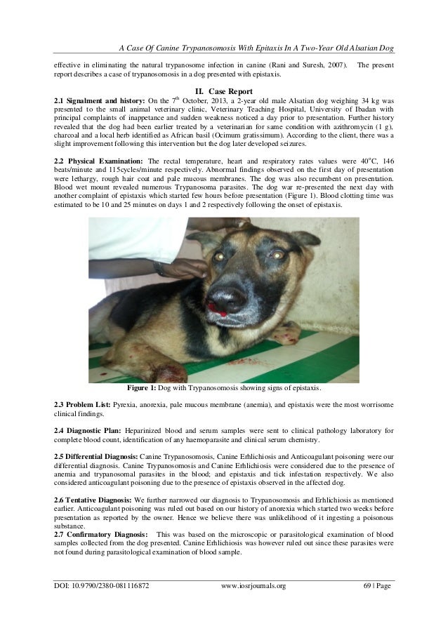 A Case Of Canine Trypanosomosis With Epistaxis In A TwoYear Old Alsat… A Case Of Canine Trypanosomosis With Epistaxis In A TwoYear Old Alsat…