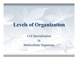 Levels of OrganizationLevels of Organization
Cell SpecializationCell Specialization
InIn
Multicellular OrganismsMulticellular Organisms
 