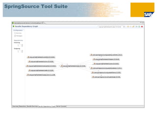 SpringSource Tool Suite
 