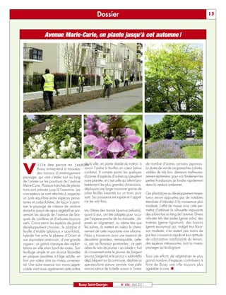 Dossier                                                                              13



               Avenue Marie-Curie, on plante jusqu’à cet automne !




           ille des parcs et jardinsla ville, en partie distale du trottoir, à
                                          , de                                               de nombre d’autres cerisiers japonais.

V          Bussy entreprend à nouveau savoir l’aulne à feuilles en cœur (alnus
           des travaux d’aménagement cordata). Il compte parmi les quelques
paysager, qui vont s’étaler tout au long dizaines d’espèces d’aulnes qui peuplent
                                                                                             La durée de vie de ces panaches colorés,
                                                                                             visibles de très loin, demeure malheureu-
                                                                                             sement éphémère, pour voir finalement les
de l’année sur les pourtours de l’avenue notre planète, et c’est celle qui atteint pro-      petites frondaisons se fondre rapidement
Marie-Curie. Plusieurs tranches de planta- bablement les plus grandes dimensions,            dans la verdure ambiante.
tions sont prévues jusqu’à l’automne. Les déployant une large couronne garnie de
concepteurs se sont attachés à respecter jolies feuilles luisantes sur un tronc puis-        Ces plantations au développement majes-
un juste équilibre entre espèces persis- sant. Sa croissance est rapide et il appré-         tueux seront appuyées par de notables
tantes et caducifoliées, de façon à ponc- cie les sols frais.                                étendues d’arbustes à la croissance plus
tuer le paysage de rideaux de verdure                                                        modeste. L’effet de masse ainsi créé per-
durant la saison de repos végétatif en par- Les chênes des marais (quercus palustris),       mettra d’atténuer la silhouette imposante
semant les abords de l’avenue de bos- quant à eux, ont été adoptés pour occu-                des arbres tout au long de l’avenue. Divers
quets de conifères et d’arbustes toujours per l’espace proche de la chaussée ; dis-          arbustes tels des saules (genre salix), des
verts. Citons parmi les espèces de grand posés en alignement, au même titre que              troënes (genre ligustrum), des fusains
développement choisies, le platane à les aulnes, ils mettent en valeur le chemi-             (genre euonymus) qui, malgré leur florai-
feuille d’érable (platanus x acerifolia), nement de cette importante voie urbaine.           son modeste, n’en restent pas moins de
hybride fixé entre le platane d’Orient et Nous y trouverons aussi une essence de             par leur croissance rapide et leur aptitude
son équivalent américain, d’une grande deuxième grandeur, remarquable, celle-                de colonisation satisfaisante du terrain,
vigueur ; un grand classique des implan- ci, par sa floraison printanière ; ce petit         des espèces intéressantes, tant au niveau
tations en ville et en bord de routes. Son arbre du nom de prunier « accolade », fruit       paysager qu’écologique.
feuillage ample et son écorce lézardée du croisement entre le prunier de Sargent
en plaques jaunâtres à l’âge adulte, en (prunus Sargentii) et le prunus x subhirtella        Tous ces efforts de végétaliser le plus
font une valeur sûre au niveau ornemen- déjà fréquent sur la commune, déploie sa             grand nombre d’espaces contribuent à
tal. Une autre essence non moins appré- spectaculaire parure vernale rose pâle               faire de Bussy une ville toujours plus
ciable vient aussi agrémenter cette artère annonciatrice de la belle saison à l’instar       agréable à vivre. n



                                        Bussy Saint-Georges            N° 132 - Avril 2011
 