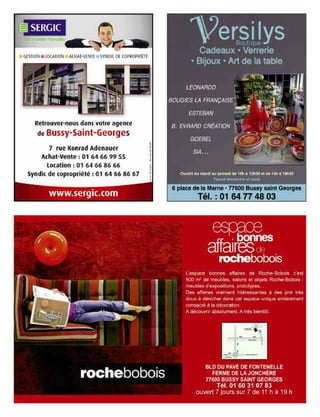 Journal de bussy numéro 132