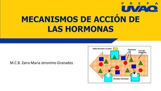 M.C.B. Zaira María Jeronimo Granados
MECANISMOS DE ACCIÓN DE
LAS HORMONAS
 