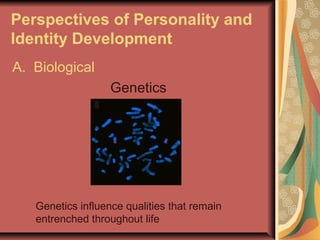 Perspectives of Personality and
Identity Development
A. Biological
Genetics

Genetics influence qualities that remain
entrenched throughout life

 