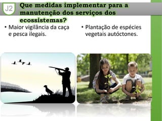J2 Que medidas implementar para a
manutenção dos serviços dos
ecossistemas?
• Maior vigilância da caça
e pesca ilegais.
• Plantação de espécies
vegetais autóctones.
 