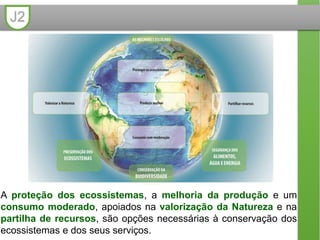 J2
A proteção dos ecossistemas, a melhoria da produção e um
consumo moderado, apoiados na valorização da Natureza e na
partilha de recursos, são opções necessárias à conservação dos
ecossistemas e dos seus serviços.
 