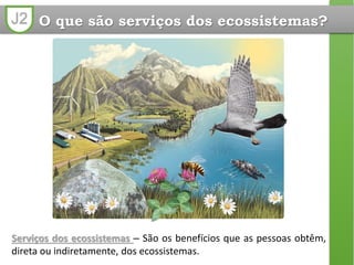 J2
Serviços dos ecossistemas – São os benefícios que as pessoas obtêm,
direta ou indiretamente, dos ecossistemas.
O que são serviços dos ecossistemas?
 