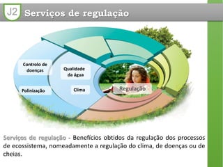 J2 Serviços de regulação
Qualidade
da água
Polinização
Controlo de
doenças
Clima
Serviços de regulação - Benefícios obtidos da regulação dos processos
de ecossistema, nomeadamente a regulação do clima, de doenças ou de
cheias.
Regulação
 