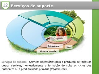 J2 Serviços de suporte
Solo
Ciclos de matéria
Fotossíntese
Serviços de suporte - Serviços necessários para a produção de todos os
outros serviços, nomeadamente a formação do solo, os ciclos dos
nutrientes ou a produtividade primária (fotossíntese).
Suporte
 