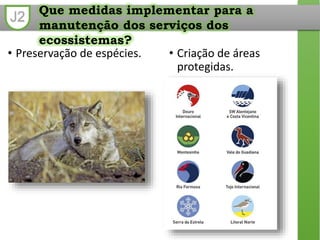 J2 Que medidas implementar para a
manutenção dos serviços dos
ecossistemas?
• Preservação de espécies. • Criação de áreas
protegidas.
 