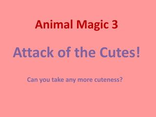 Animal Magic 3

Attack of the Cutes!
  Can you take any more cuteness?
 