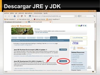 Descargar JRE y JDK 