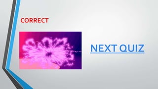 CORRECT
NEXT QUIZ
 