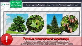 Доповнення. Інтегрований курс "Я досліджую світ" №35 для 1 класу за Т ...