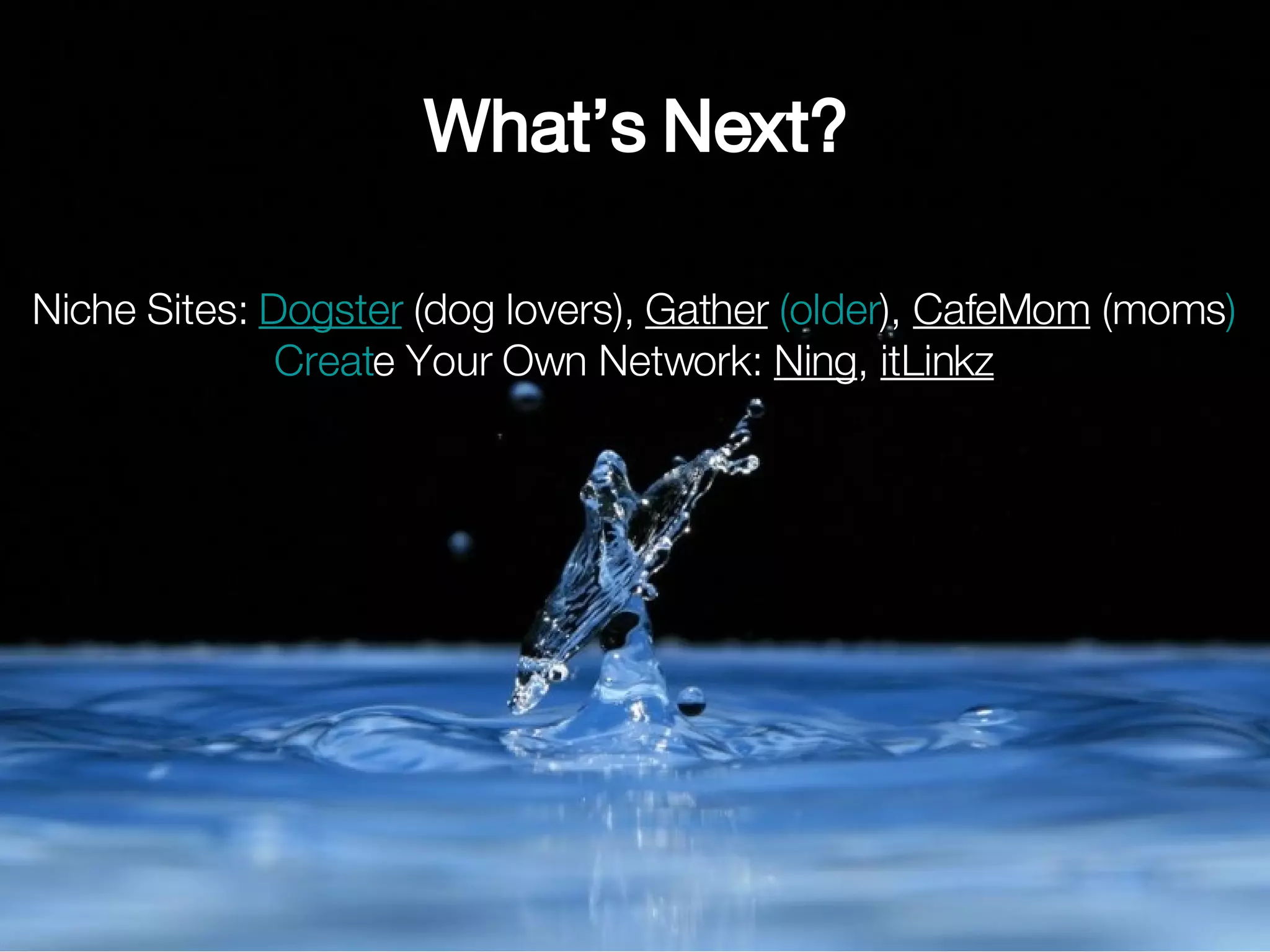What’s Next? Niche Sites:  Dogster  (dog lovers),  Gather   (older ),  CafeMom  (moms ) Creat e Your Own Network:  Ning ,  itLinkz 
