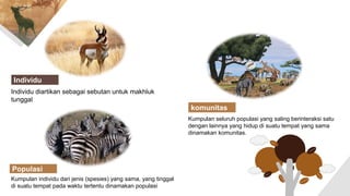 Contoh Individu Makhluk hidup dalam ekosistem alami | PPTX